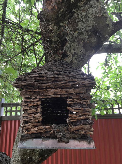 Daydream Cottage - Accommodation Australia 18