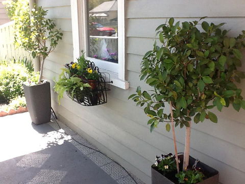 Redruth Cottage - Accommodation Australia 19