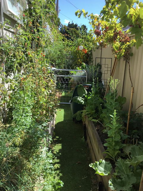 Redruth Cottage - Accommodation Australia 7