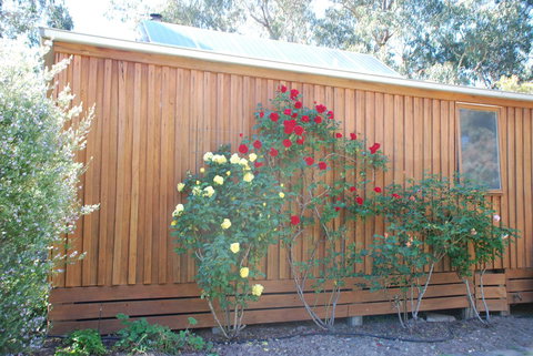 Bluegum Ridge Cottages - Local Tourism 23