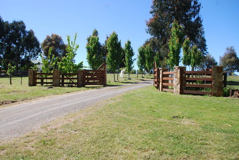 Bluegum Ridge Cottages - Local Tourism 2