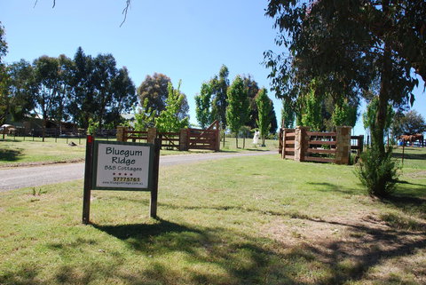 Bluegum Ridge Cottages - Local Tourism 1