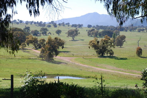 Bluegum Ridge Cottages - Local Tourism 31