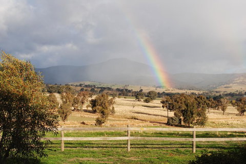 Bluegum Ridge Cottages - Local Tourism 32
