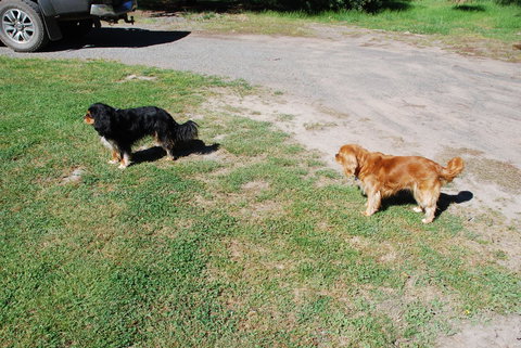 Bluegum Ridge Cottages - Local Tourism 6