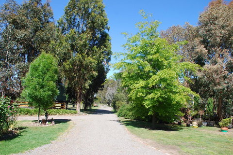 Bluegum Ridge Cottages - Local Tourism 5