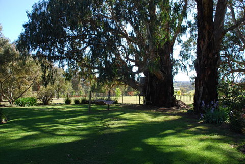 Bluegum Ridge Cottages - Local Tourism 29