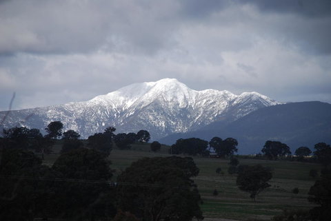 Bluegum Ridge Cottages - Local Tourism 35