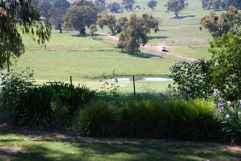 Bluegum Ridge Cottages - Local Tourism 30