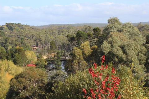 The Orchard - Accommodation Australia 28