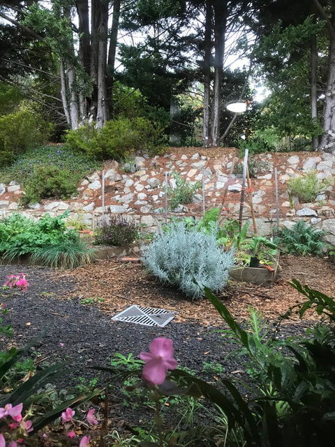 Alpine Aspects - Local Tourism 11