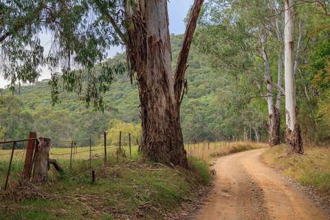 Alpine Aspects - Local Tourism 10