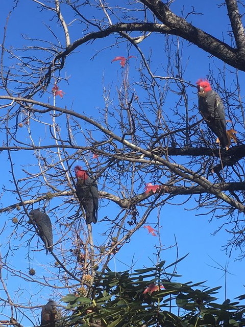 Alpine Aspects - Local Tourism 17