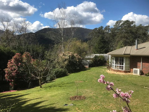 Alpine Aspects - Local Tourism 23