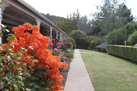 Alpine Aspects - Local Tourism 34