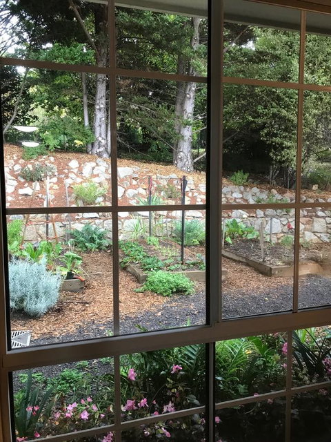 Alpine Aspects - Local Tourism 28