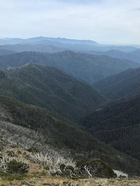 Alpine Aspects - Local Tourism 9