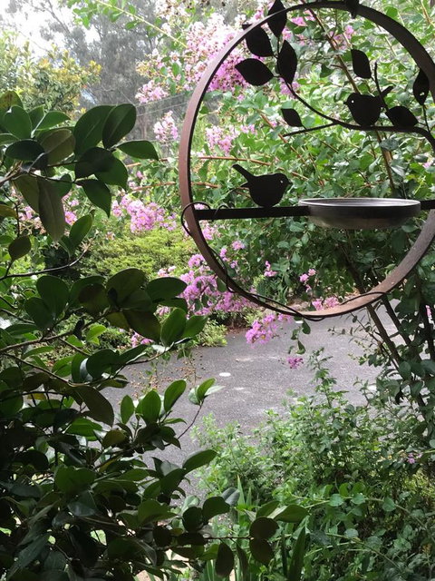 Alpine Aspects - Local Tourism 3