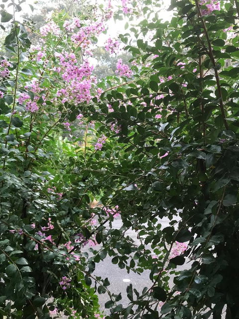 Alpine Aspects - Local Tourism 19