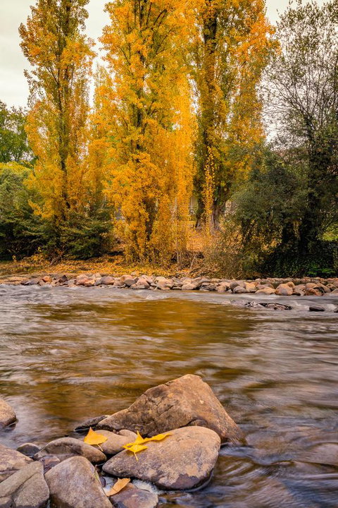 Alpine Aspects - Local Tourism 6