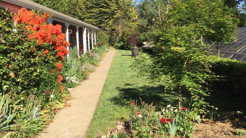 Alpine Aspects - Local Tourism 4