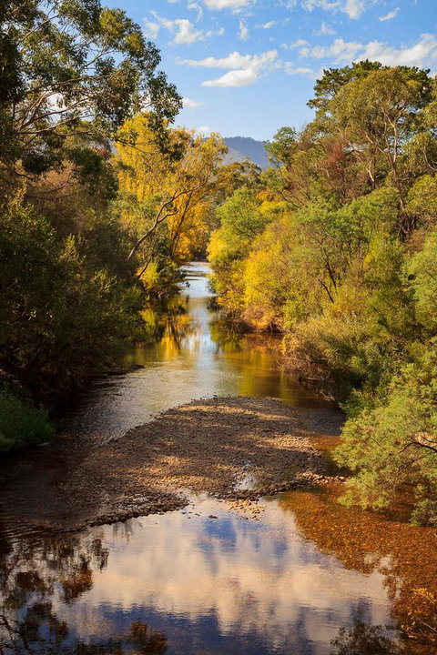 Alpine Aspects - Local Tourism 31