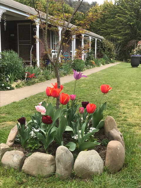 Alpine Aspects - Local Tourism 7