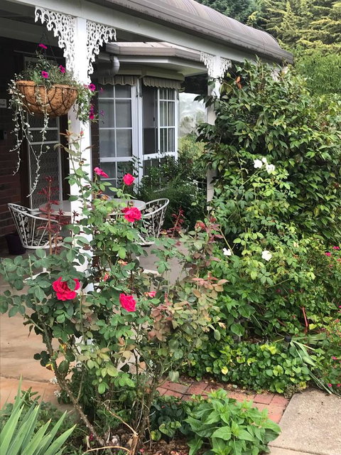 Alpine Aspects - Local Tourism 30