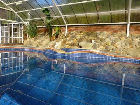 Alpine Aspects - Local Tourism 39