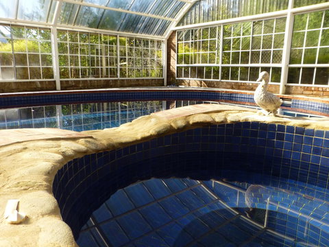 Alpine Aspects - Local Tourism 38