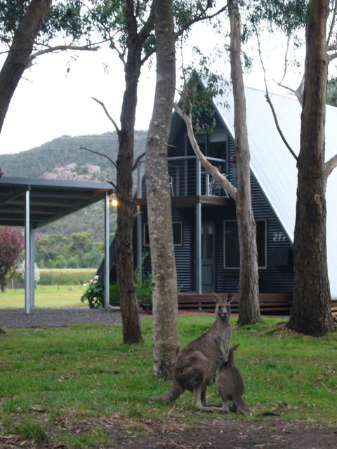 The A-Frame - Accommodation Australia 1