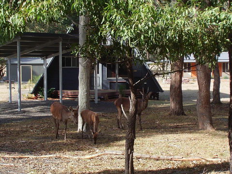 The A-Frame - Accommodation Australia 13