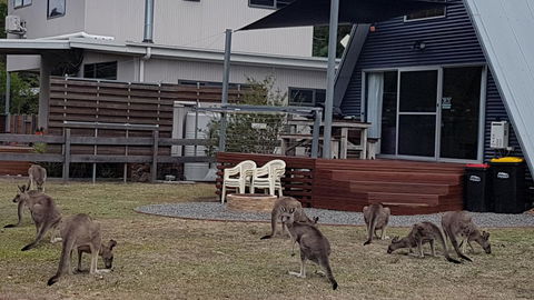The A-Frame - Accommodation Australia 3