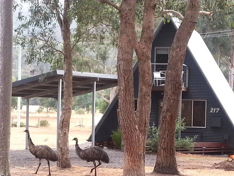 The A-Frame - Accommodation Australia 9