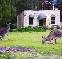 Marwood Luxury Villas - Bed n Breakfasts
