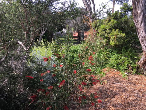Andrew's On Topaz - Accommodation Australia 1