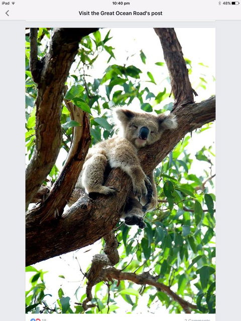 Austral Place 88 Via Merri River - Local Tourism 24