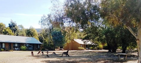 Grampians Pomonal Cottages - Accommodation Australia 6