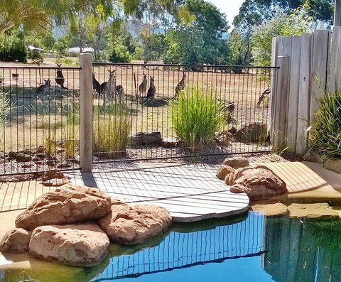 Grampians Pomonal Cottages - Accommodation Australia 24