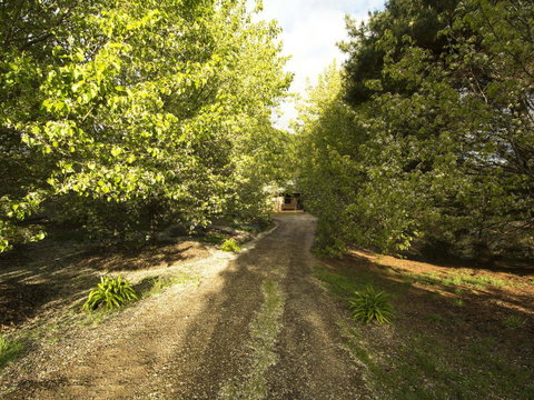 Angel's Rest - Accommodation Australia 0