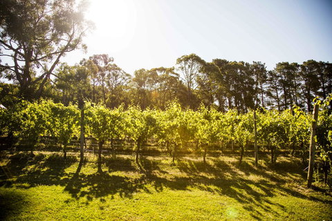 Polperro Villas - Australia Shopping 18