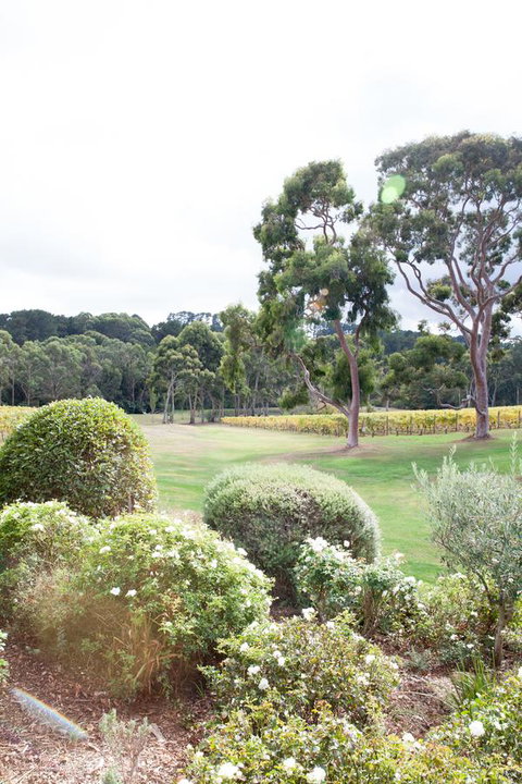 Polperro Villas - Australia Shopping 16