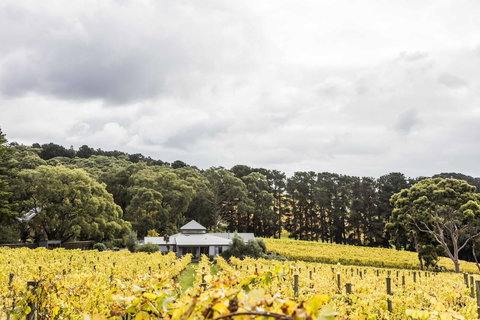 Polperro Villas - Australia Shopping 21