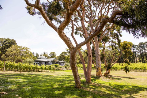 Polperro Villas - Australia Shopping 17