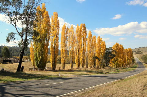 3 Bells Alpine Cottage - Accommodation Australia 20