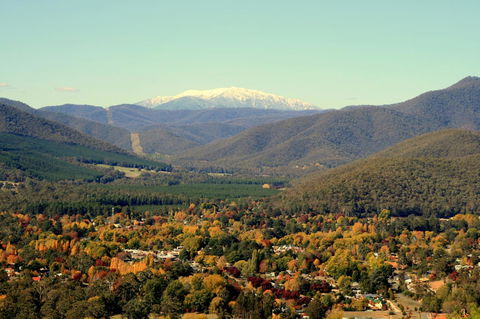 3 Bells Alpine Cottage - Accommodation Australia 24