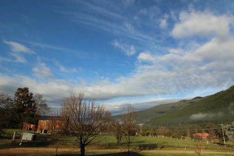 3 Bells Alpine Cottage - Accommodation Australia 26