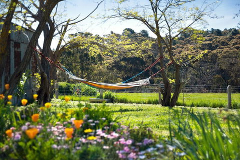 Cabrito - Accommodation Australia 3