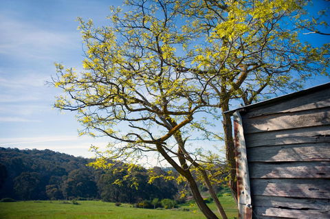 Cabrito - Accommodation Australia 9