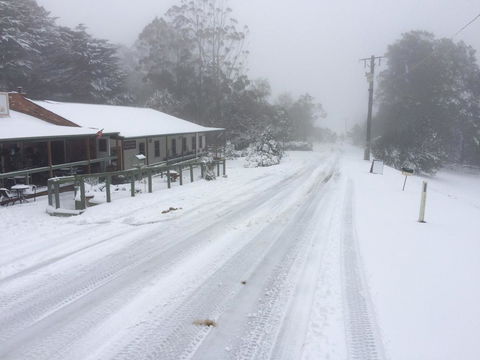 Tarra Bulga Guesthouse - Accommodation Australia 8